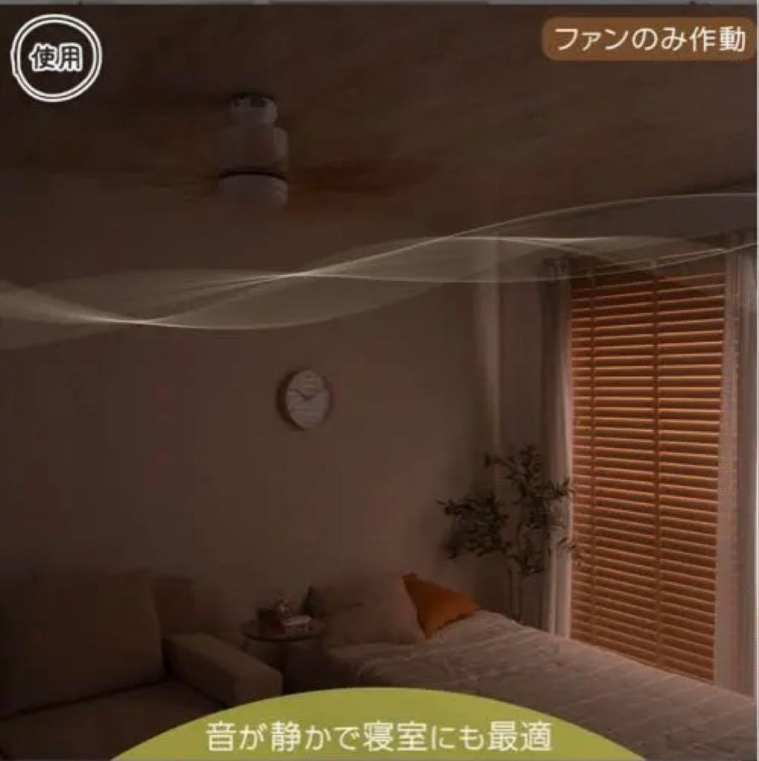 シーリング ファン ライト ナチュラル ウッド