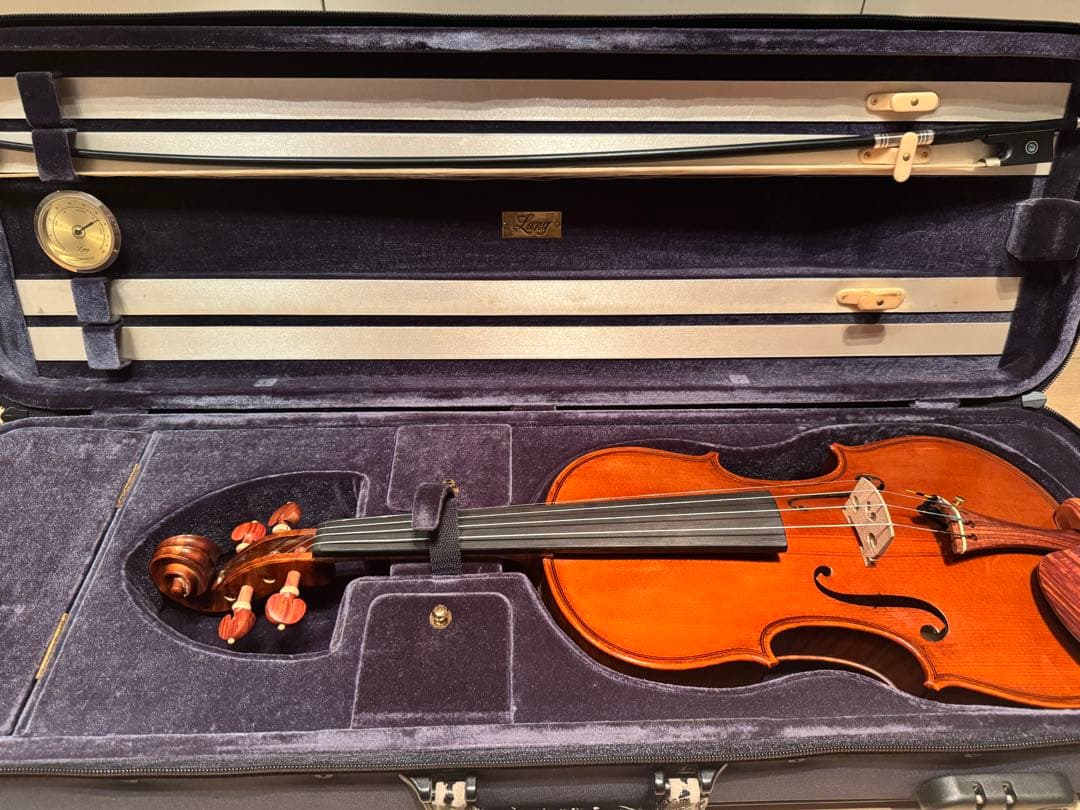 Gliga GEMS 4/4 バイオリンセット