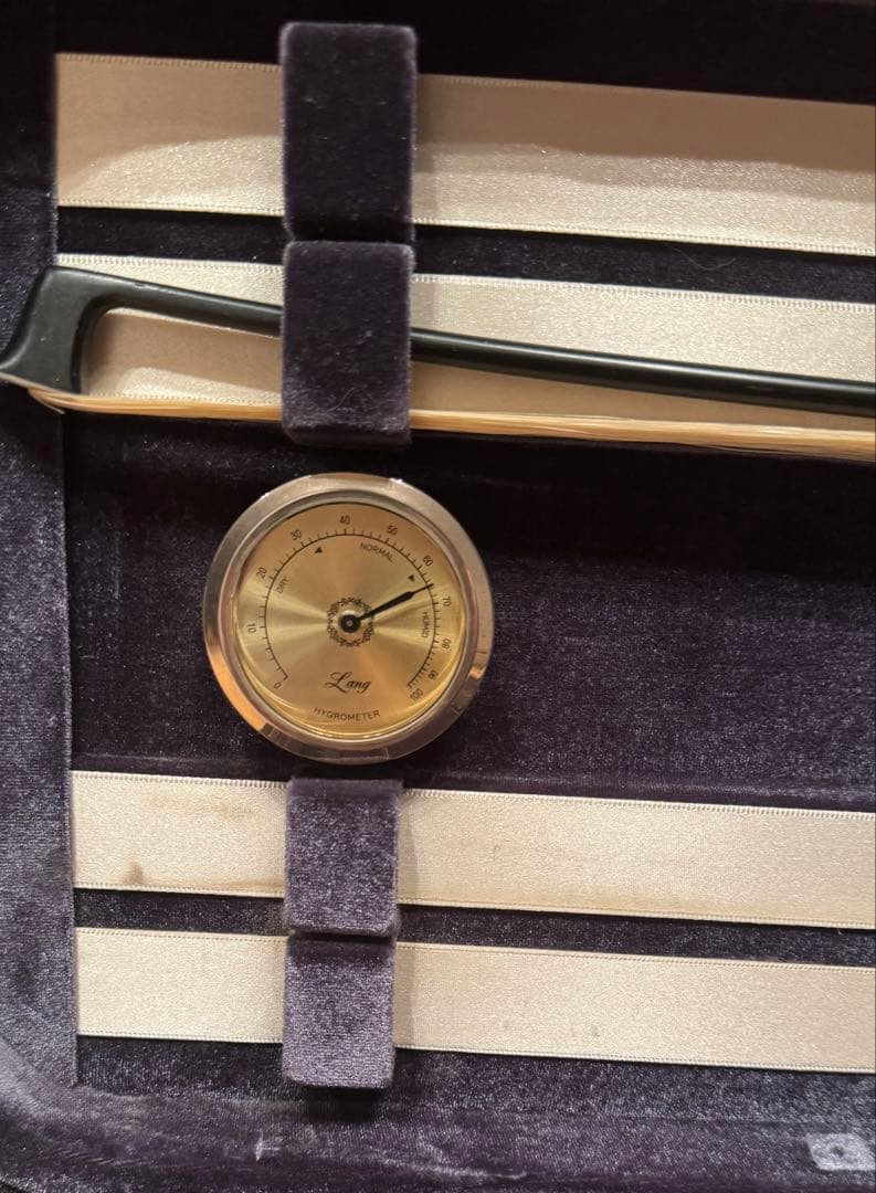 Gliga GEMS 4/4 バイオリンセット