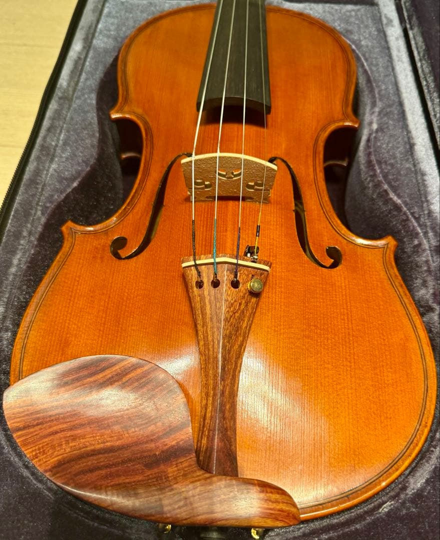 Gliga GEMS 4/4 バイオリンセット