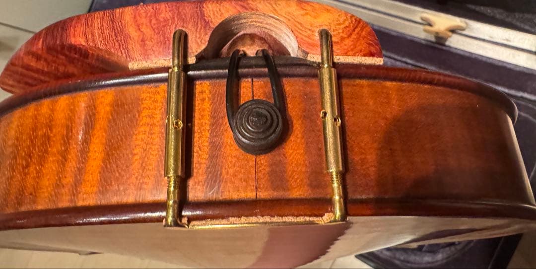 Gliga GEMS 4/4 バイオリンセット