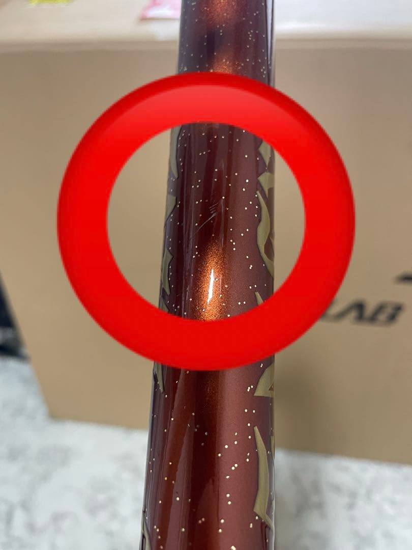 RINSEILAB 鉄フレーム　ピスト　　NJS認定