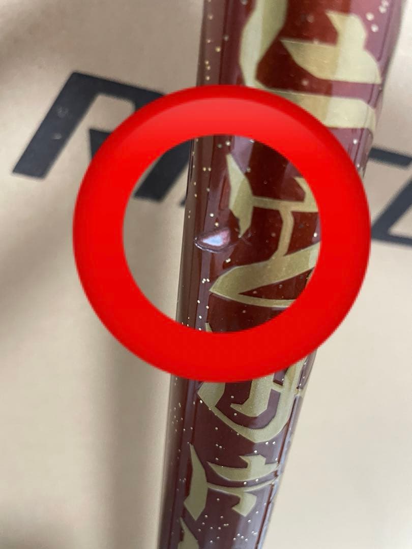 RINSEILAB 鉄フレーム　ピスト　　NJS認定