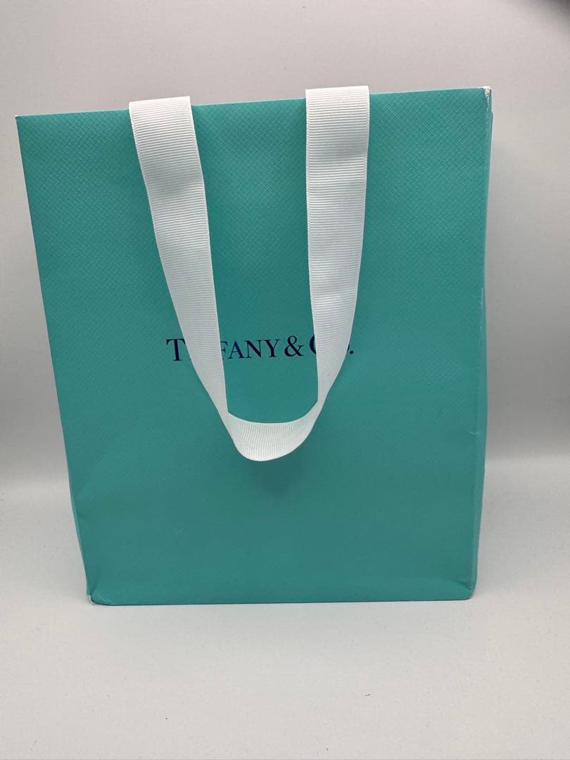 Tiffany & Co. ハードウェア　ラージリンクブレスレット