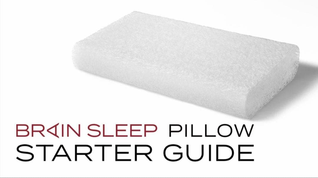 Brain Sleep Pillow スタンダードサイズ