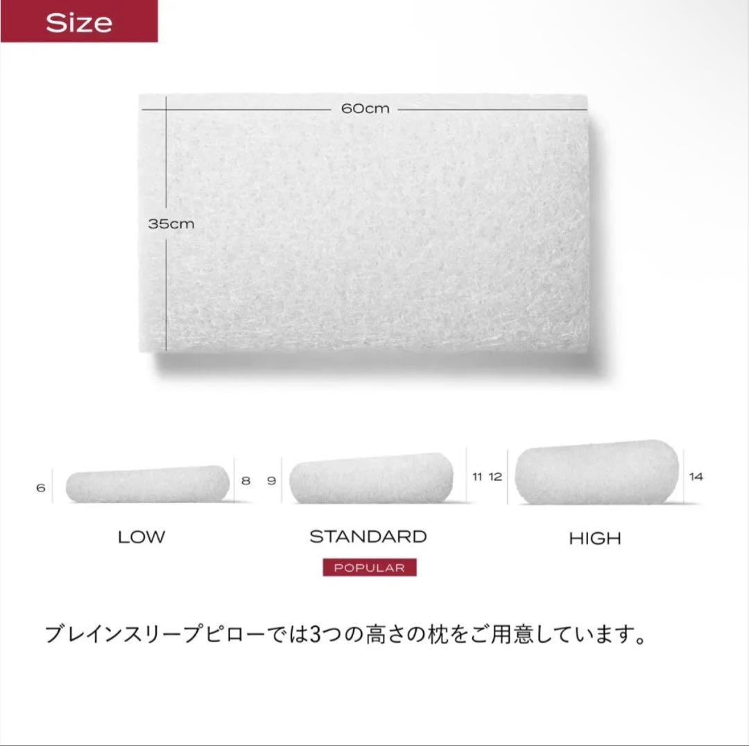 Brain Sleep Pillow スタンダードサイズ