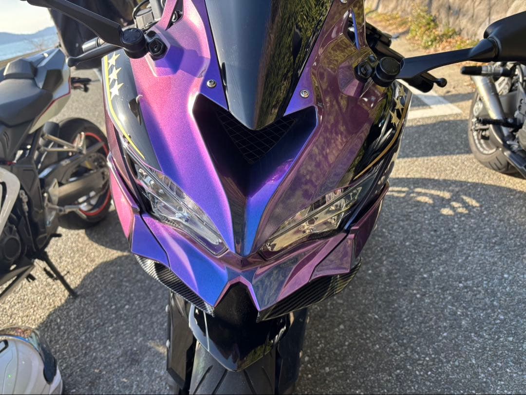 ZX4RR外装 フラストレーションさん専用