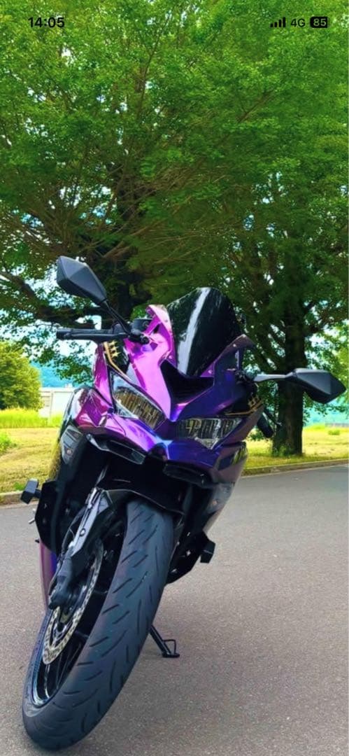 ZX4RR外装 フラストレーションさん専用