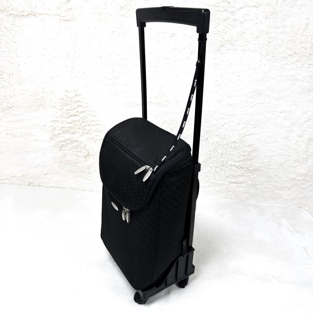 ✨美品✨ SWANY　4輪 大容量 ショッピングカート キャリーカート 総柄 黒