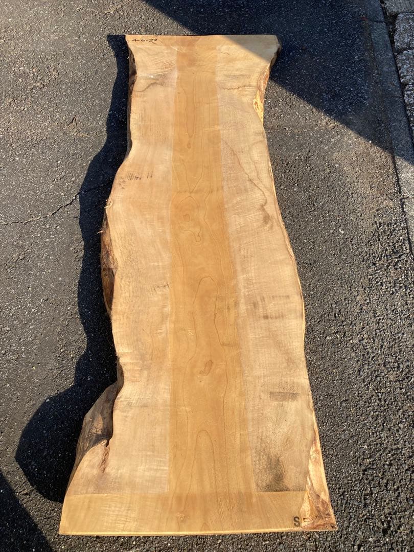 朴木／ほうのき／一枚板