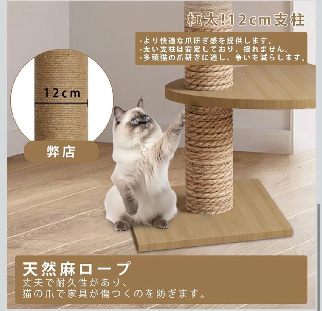 早い者勝ち❣️突っ張り型キャットタワー 235-260cm 360°透明カプセル付