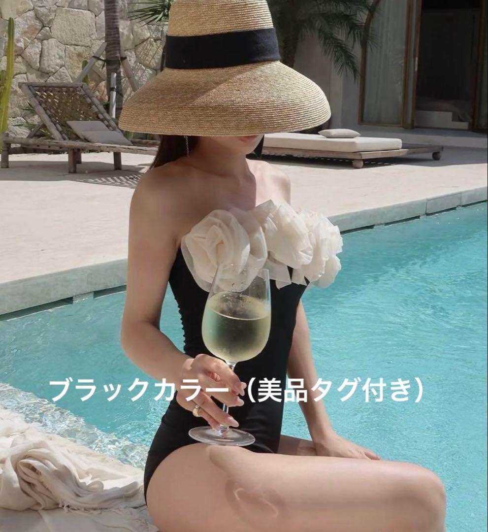 Eimy Istore 水着　タグ付き美品