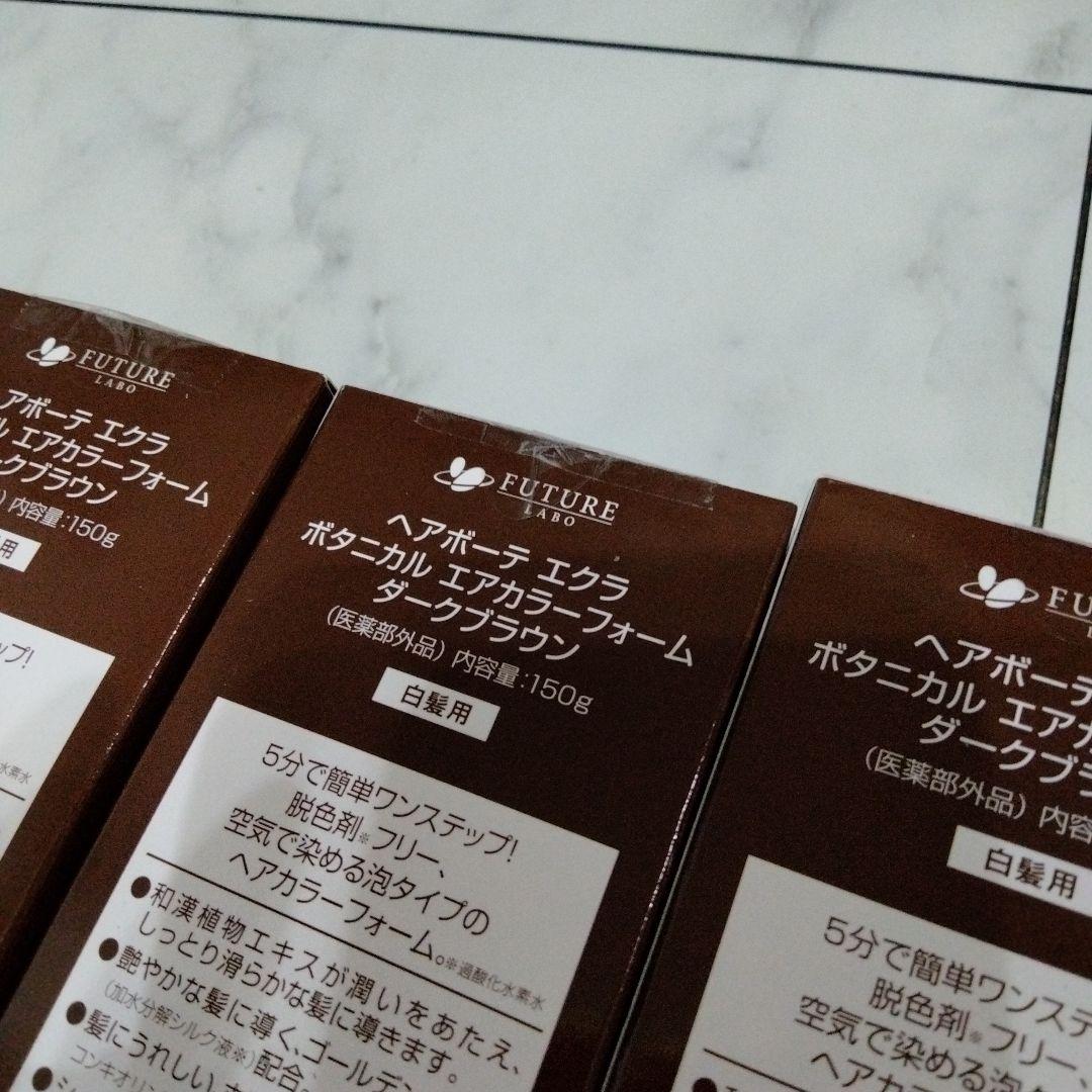 ヘアボーテ エクラ ボタニカルエアカラーフォーム ダークブラウン 150g 3本