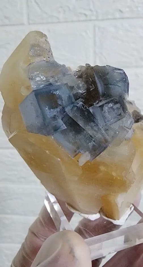 金色の方解石の上に蛍石