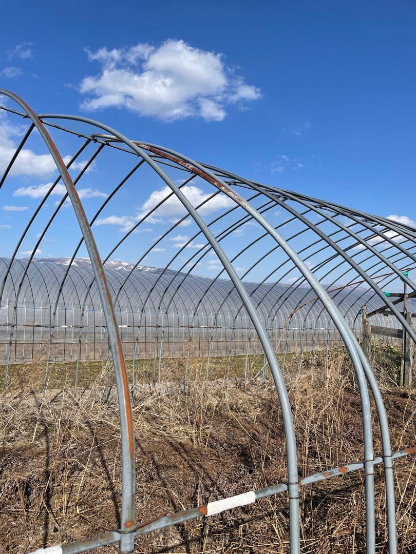 農業用　農業資材　解体セルフ‼️タイプAビニールハウスパイプ50メートル