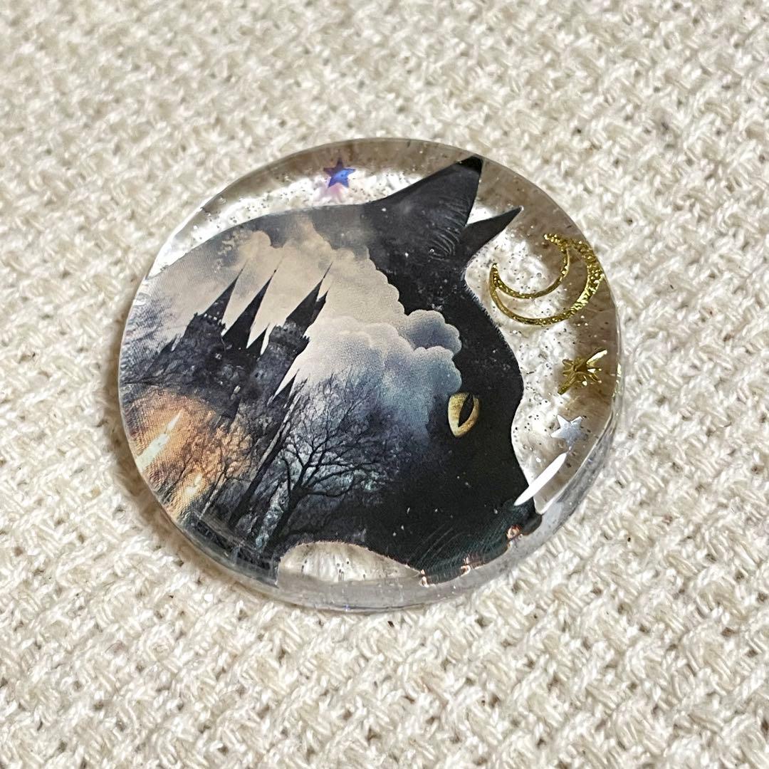 2507. 【大】レジンポニーフック・ヘアゴム・ブローチ