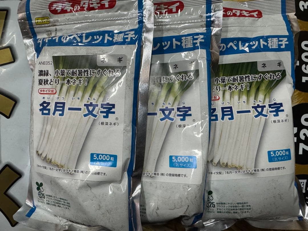 ネギ種子　名月一文字　5000粒　有効期限26年9月