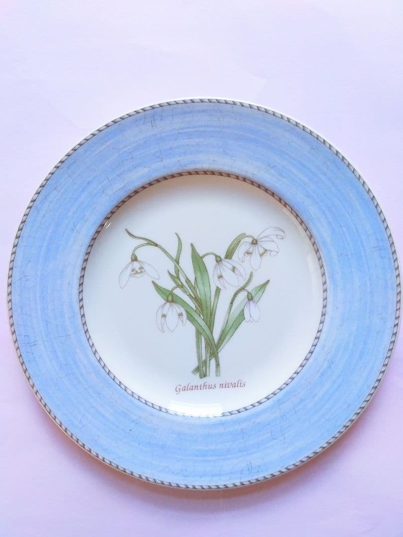  【美品】ウェッジウッド稀少★スノードロップ★2枚セット