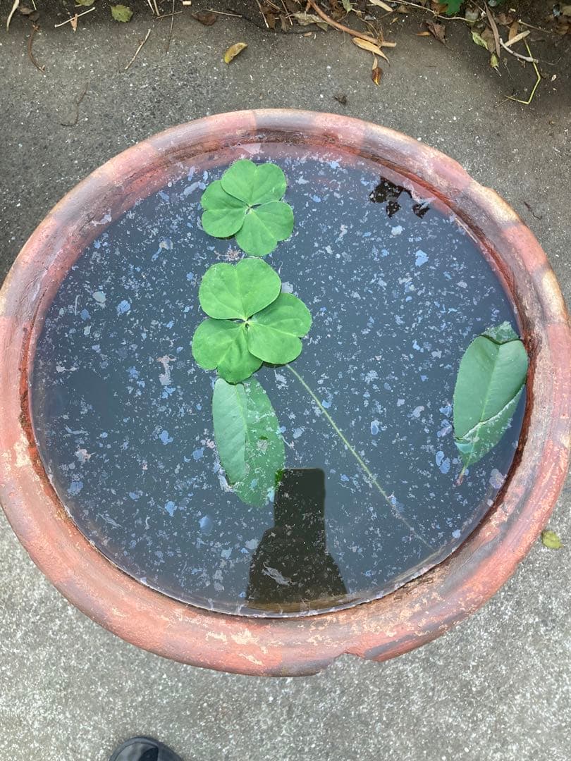 【古民具/古美術】大型 陶器 壺/かめ 植木鉢 メダカ鉢 水鉢 63センチ