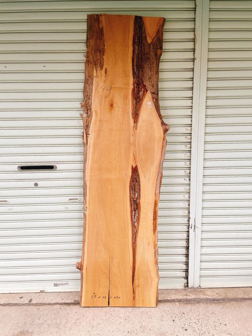 天然　ニレ　木材　天板　無垢材　一枚板　テレビ台　棚　デスク　カウンターテーブル