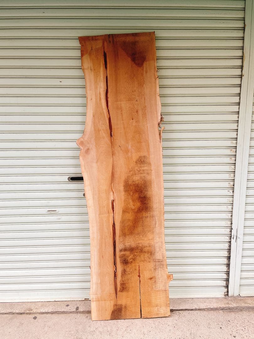 天然　ニレ　木材　天板　無垢材　一枚板　テレビ台　棚　デスク　カウンターテーブル