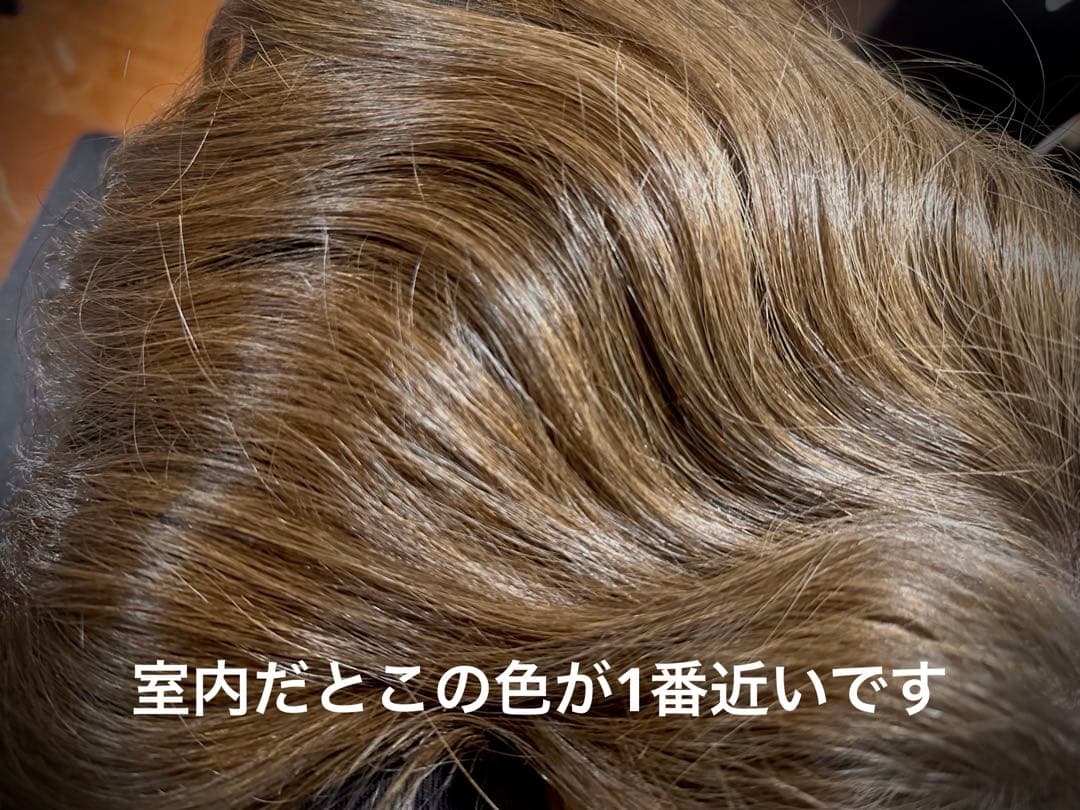 【値下中】高級レミー100% 人毛 ヘアピース ブライトブラウン 50cm
