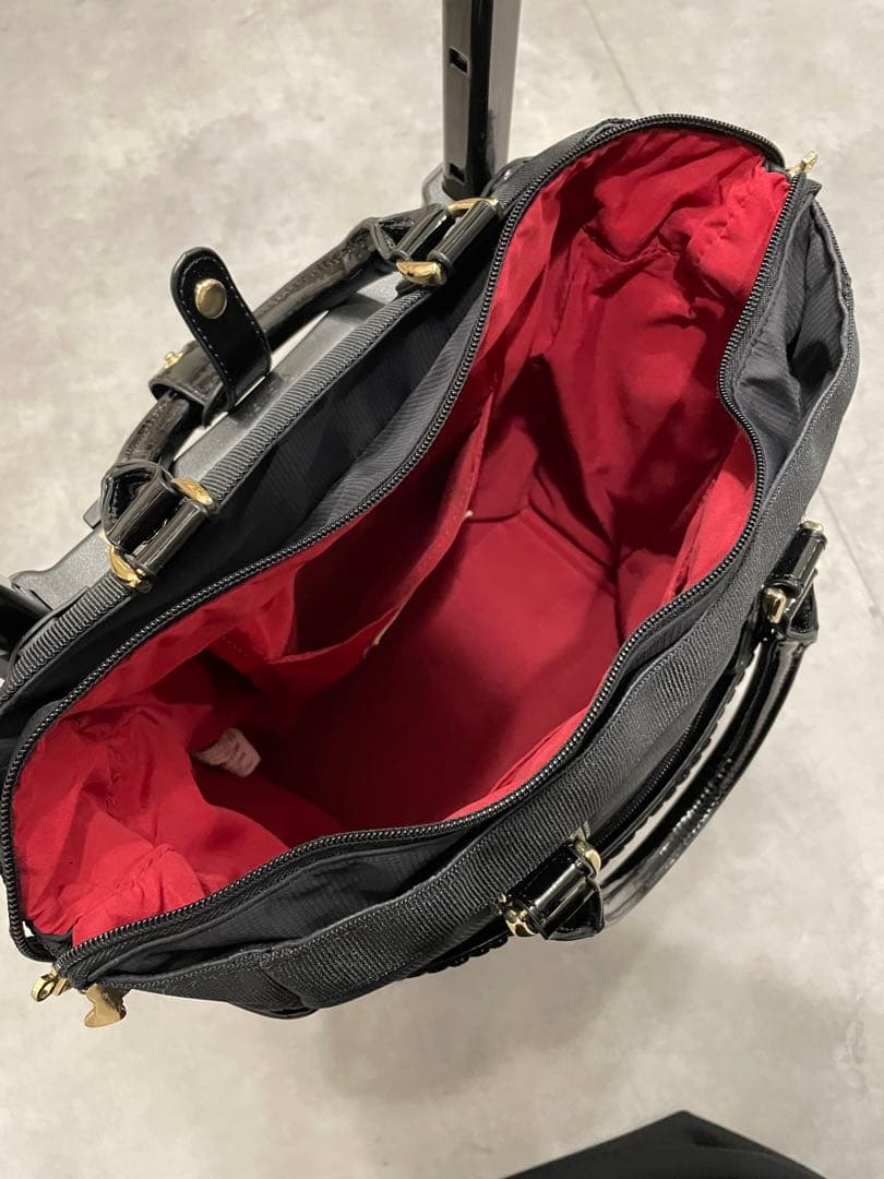 【保証書付き】SWANY スワニー　ハローキティ　キャリーバック