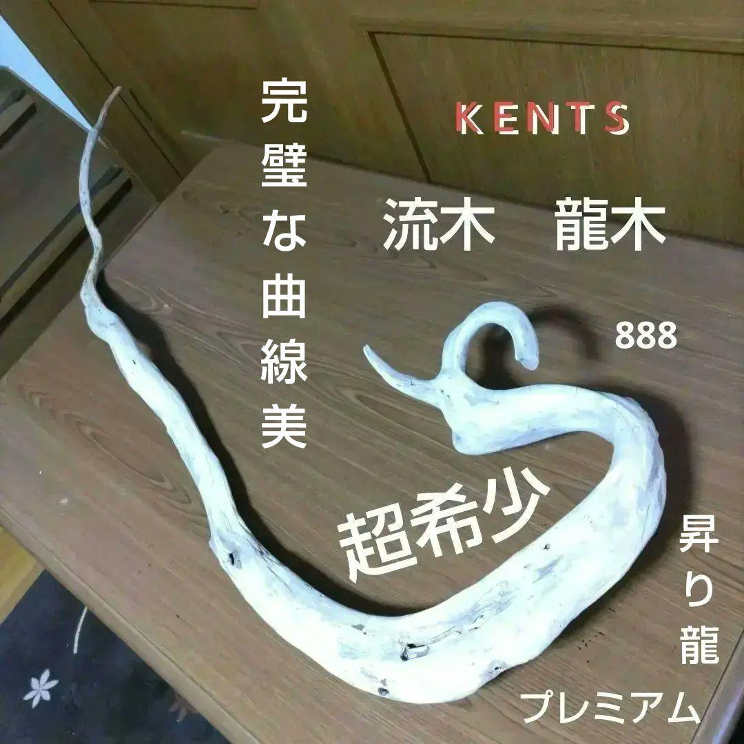 天然自然流木　ビッグな超希少　龍木竜木辰年　直接引き渡し限定　大阪府