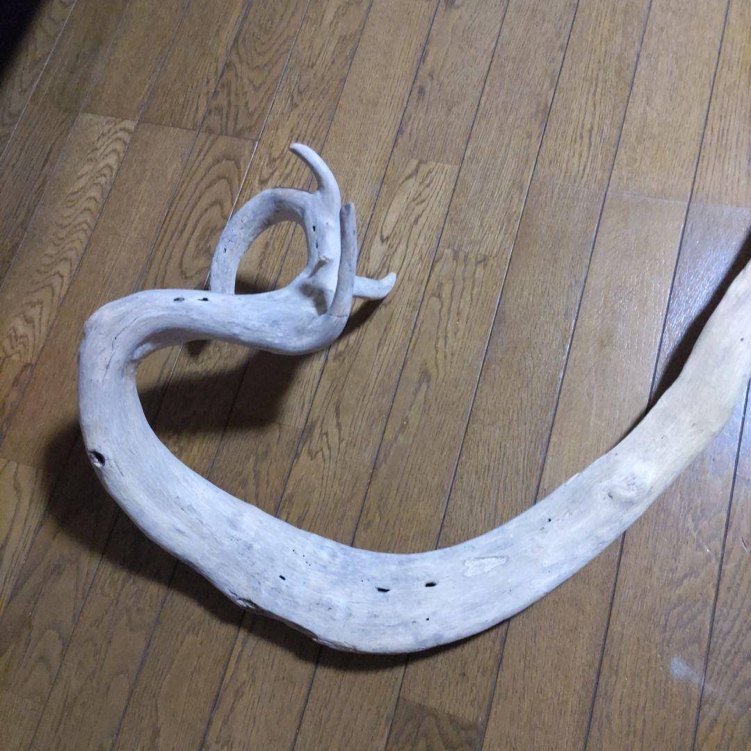 天然自然流木　ビッグな超希少　龍木竜木辰年　直接引き渡し限定　大阪府