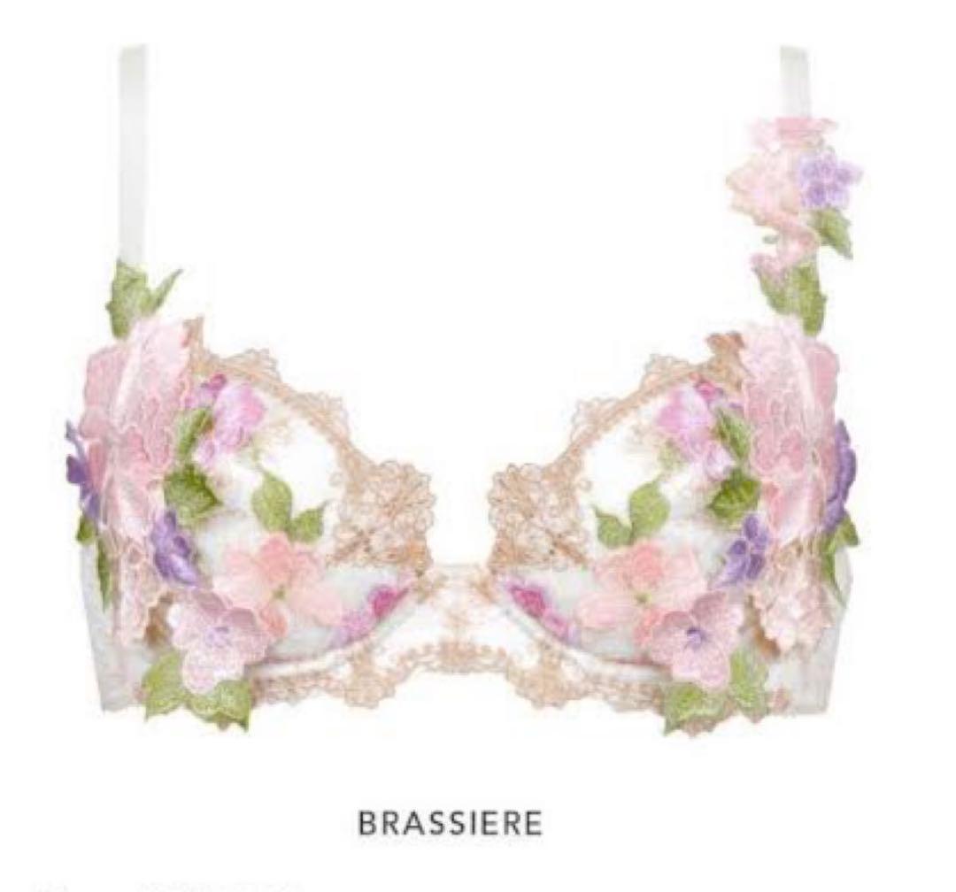 サルート 希少 59G 店舗限定 C65 ブラソング 59 IV フォークロア