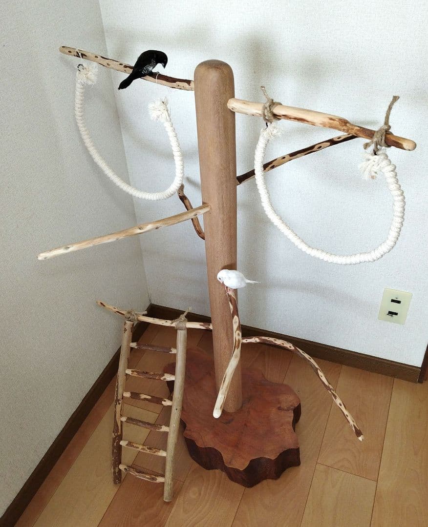 【中型鳥さん用】螺旋状♬バードアスレチック