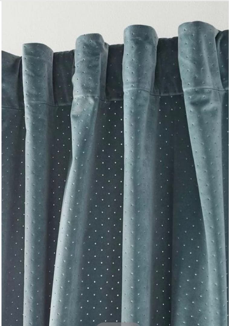 ニノ【新品未使用】【日本未入荷】アンソロポロジーカーテン2枚