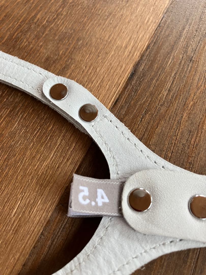 たま　バディベルトムーンウォーク4.5未使用 BUDDY BELTS