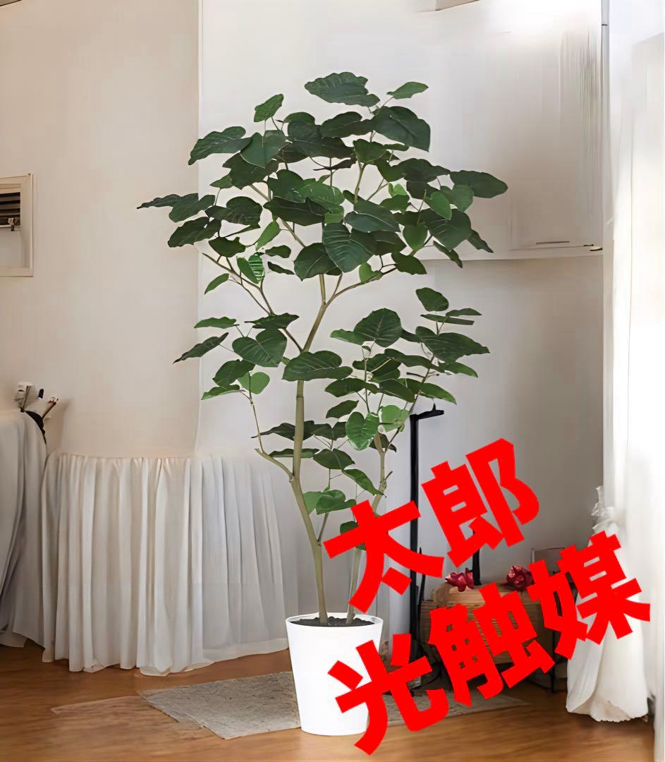 光触媒　人工観葉植物　ウォールグリーン　フェイクグリーン　HQウンベラータ180