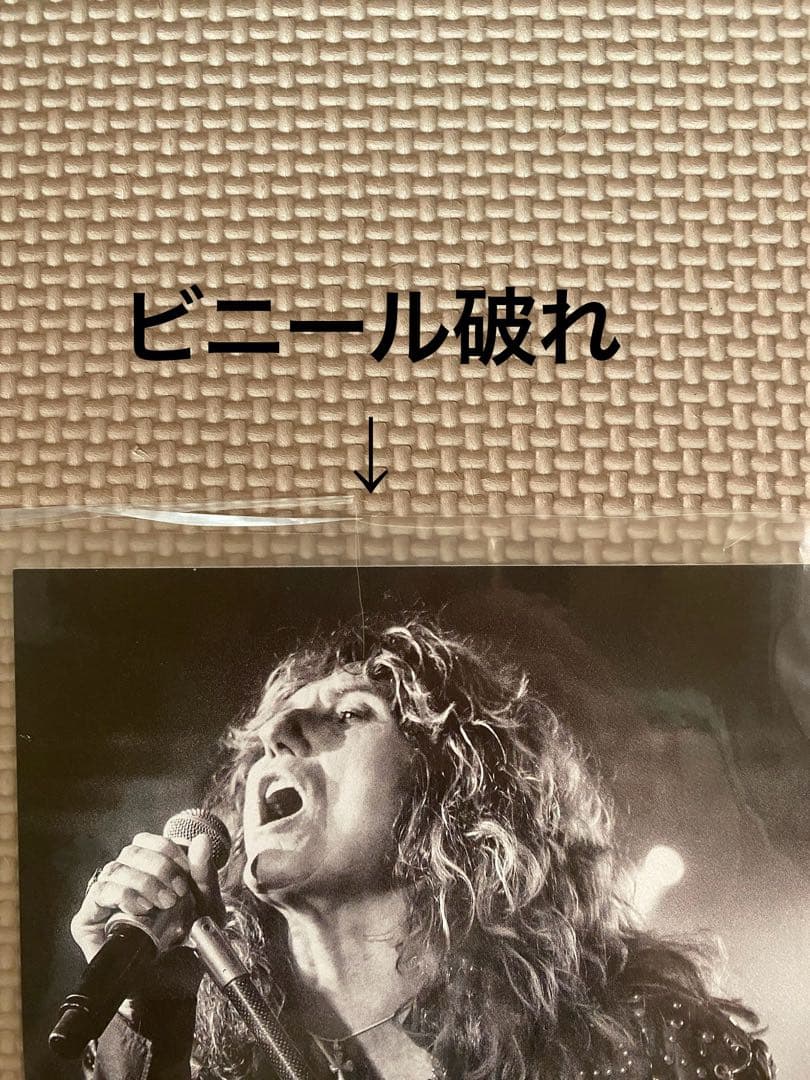 ホワイトスネイク ザ・パープル・アルバム デラックスボックス おまけトート