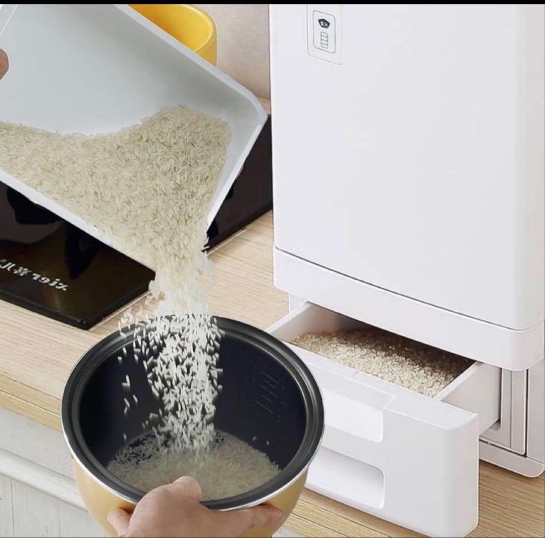 保冷米びつ 大容量 ライスストッカー 米びつ21KG 冷蔵庫用 湿気防止 米櫃