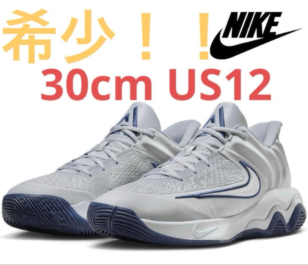 【希少】　30cm NIKE ヤニス イモータリティ