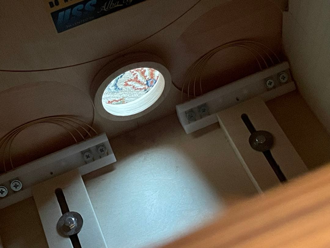 TORATORA14.0 アルバカホン～Alba cajon～ケース付き