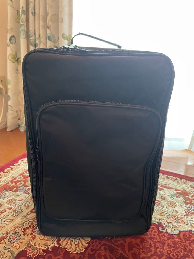 TORATORA14.0 アルバカホン～Alba cajon～ケース付き