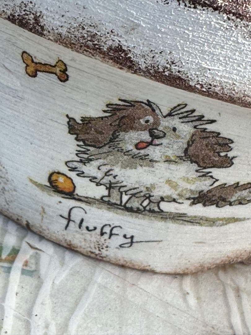 多肉植物 ☆リメ鉢寄せ植え