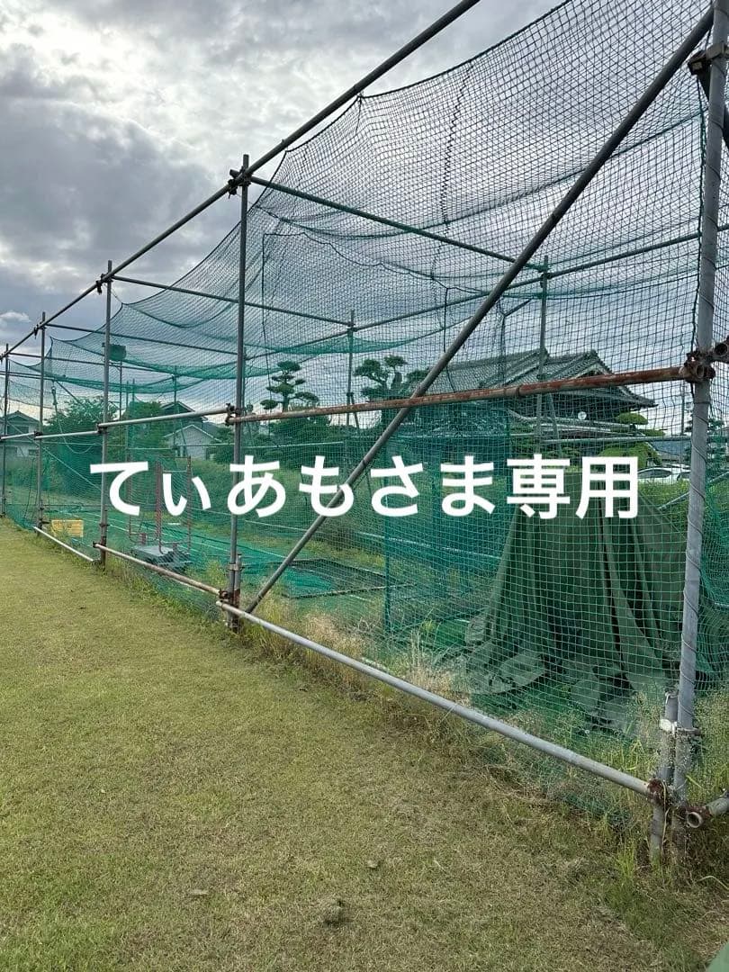 てぃあもさま専用 大型バッティングネットのみ