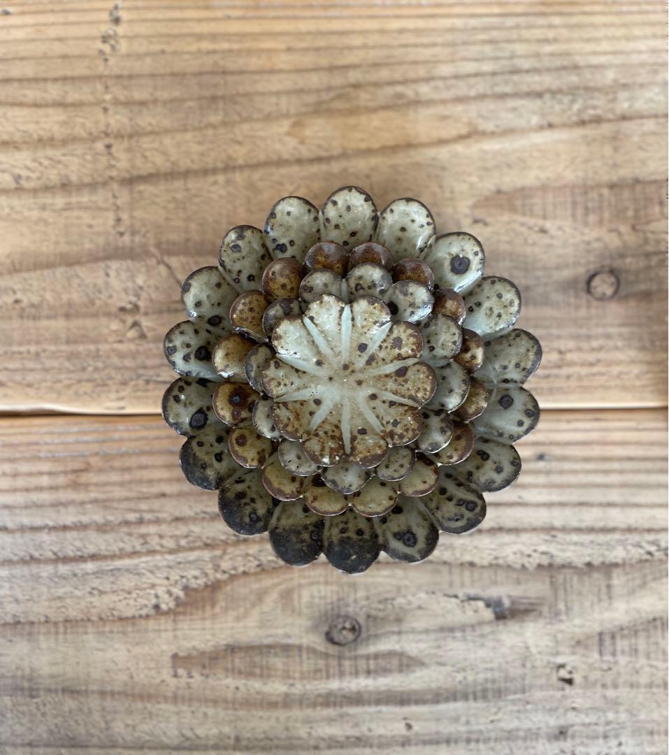 石川裕信　お皿4点　15㎝11㎝8.5㎝6.5㎝