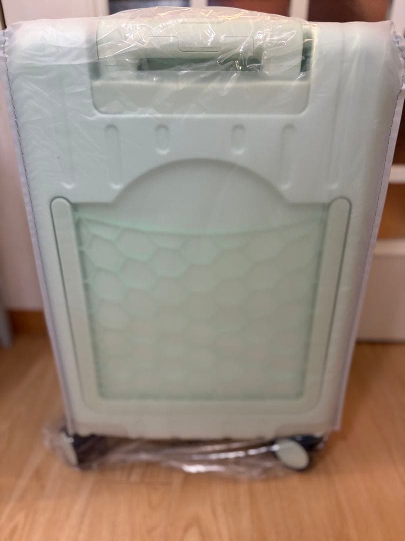 機内持ち込みタイプ キッズキャリー 乗れるキャリーキャリーバッグ　グリーン