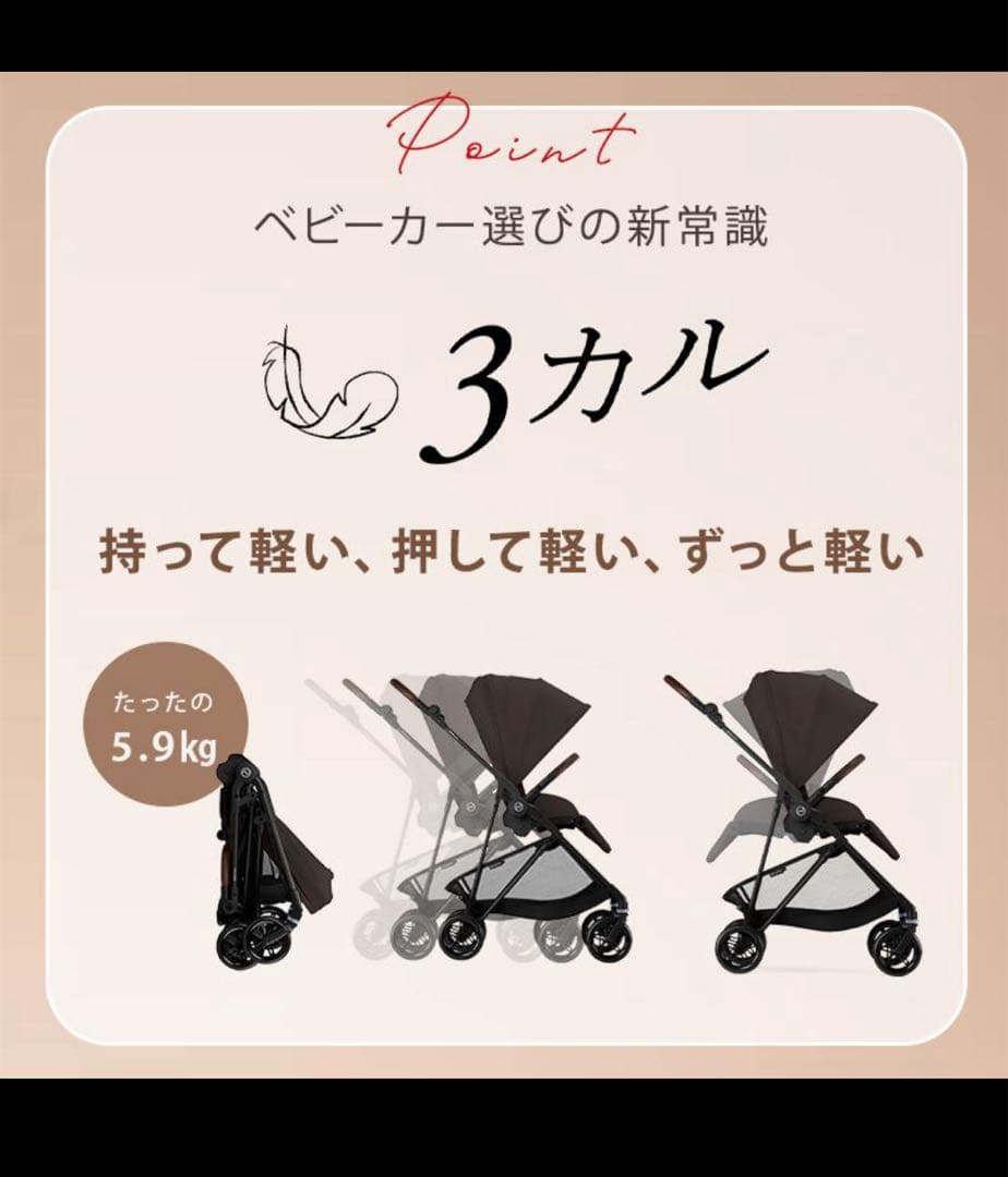 最安値サイベックス メリオ カーボン 2025 チョコレートブラウン