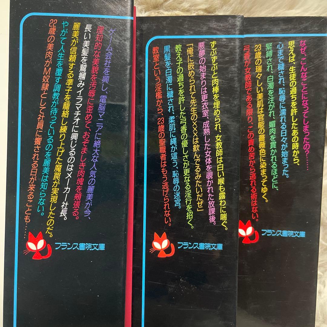 白*角様 最終値下げ　綺羅光 フランス書院文庫 文庫本 入手困難２０冊セット