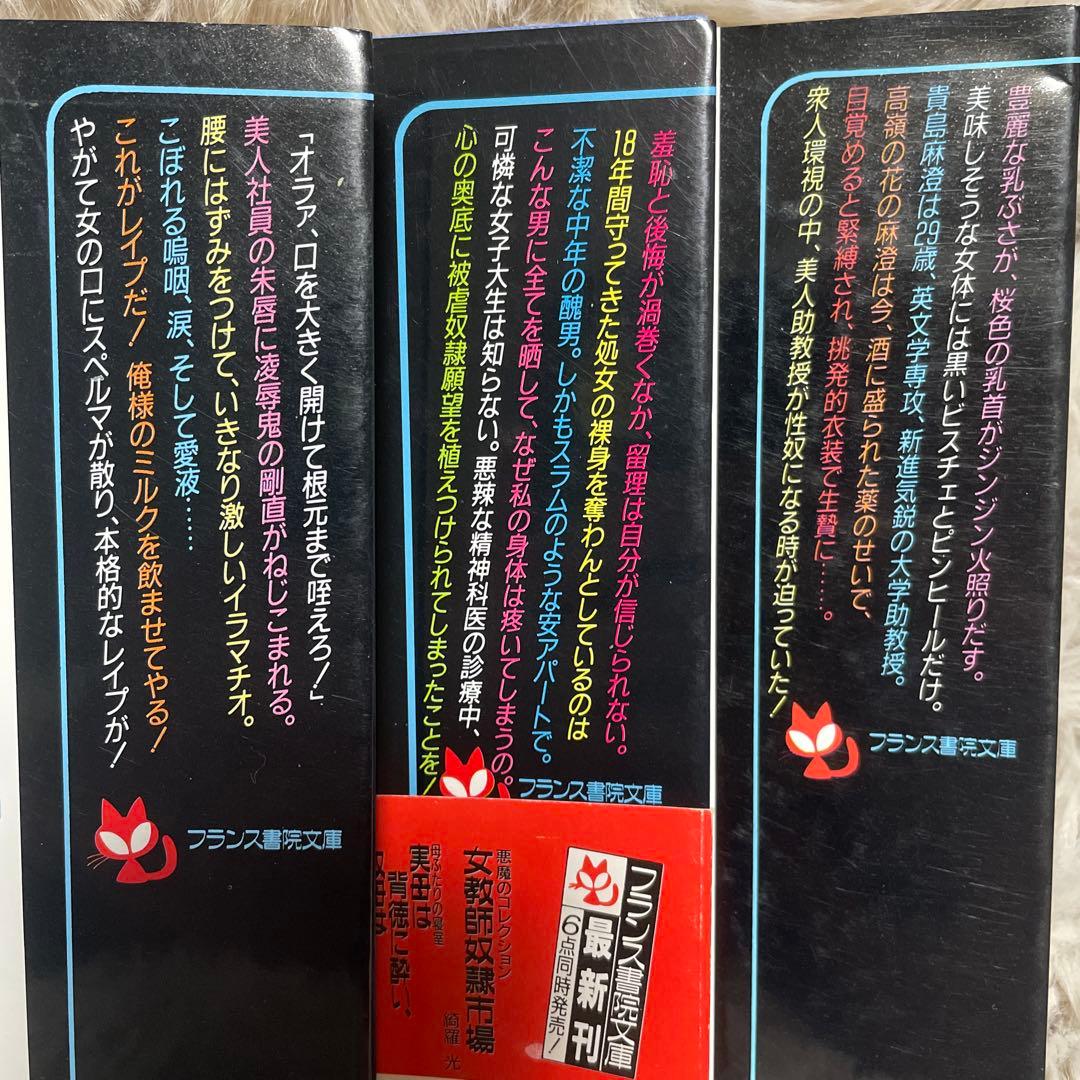 白*角様 最終値下げ　綺羅光 フランス書院文庫 文庫本 入手困難２０冊セット