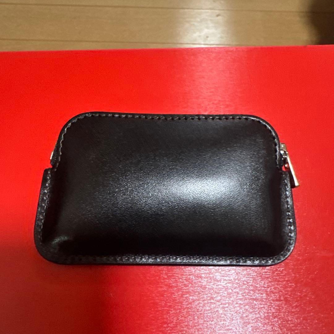 ワイルドスワンズ　　ミナス