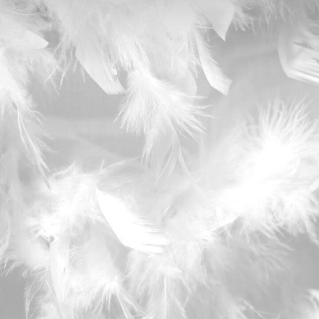 ヤシの実様　お受け取りまでのご確認用ページ