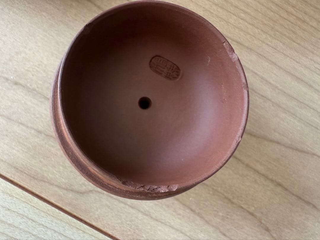 急須 湯呑み まとめ売り