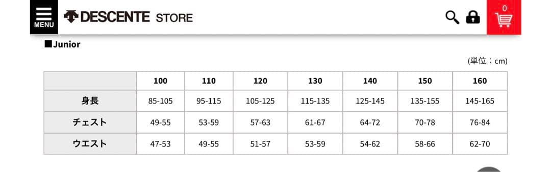 未使用】デサントスキーウエア JAPANのナショナルチームレプリカモデル